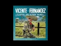 Vicente Fernández - Te Solté la Rienda (Cover Audio)