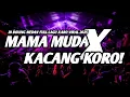 Download Lagu MAMA MUDA X KACANG KORO VIRAL !! DJ BOXING MEDAN FULL LAGU KARO 2025