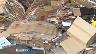 Омские волонтеры собирают макулатуру и другие ТБО