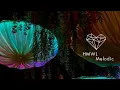 Oliver Koletzki & Frida Darko - Trip With Me (Original Mix) [Indie Dance 2025/Stil Vor Talent]