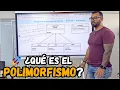 Polymorphism in Java Explained Easy and Fast