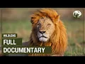 A Journey Through Earth s Biomes WildLens Into the Wild