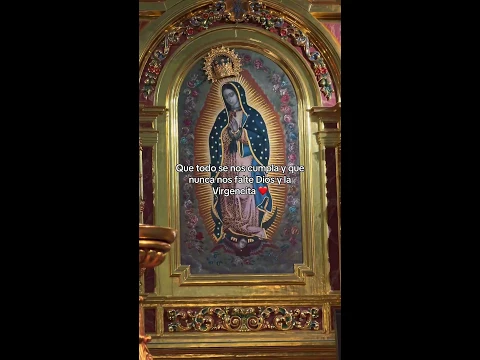 Oración a Jesus y a la Virgen de Guadalupe para protección y Bendición #elevacióndelevangelio