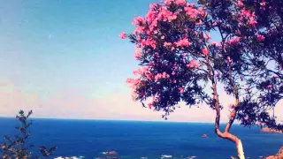 Cheikh Sedik Cheba Djamila 2015 Ghariba 