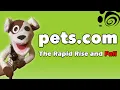 Pets com - The Rapid Rise and Fall