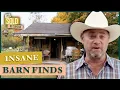 Dog Saddles and 1949 Ceiling Guns