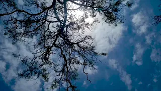 video background template awan langit biru yang indah