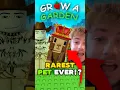 Download Lagu 😱*NEW* RAREST PET EVER?! (JANDEL MONKEY PET) 1 OF 1 |Grow A Garden Mega Harvest Update #growagarden