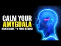Download Lagu Calm Your Amygdala | Lessen Fear Response In Body | Relieve Anxiety \u0026 Panic Attacks | Calming Music