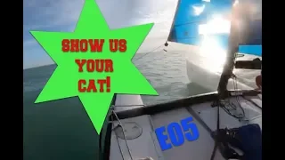 Show us your cat E05 USA, Caymen Islands, Dubai and Australia