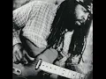 Alvin Youngblood Hart - Motivational Speaker