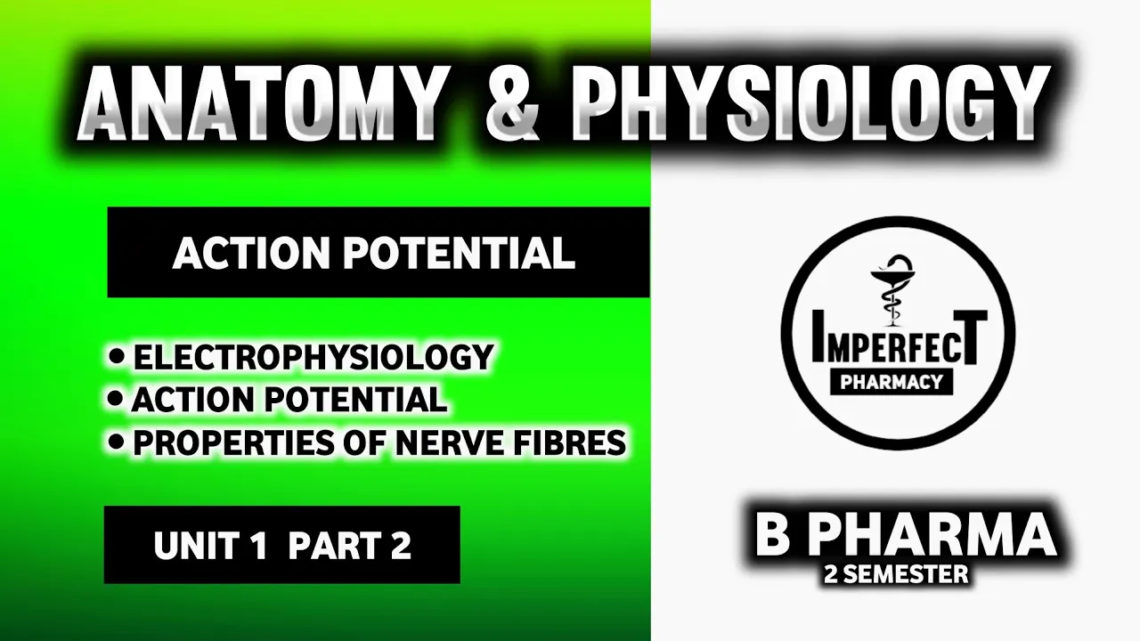 Action Potential | Electrophysiology | Nerve Impulse | Properties Of Nerve Fibres | Nervous System