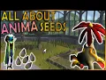 Explaining Special Seeds At The Anima Allotment In OSRS