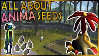 Explaining Special Seeds At The Anima Allotment In OSRS
