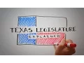 Texas Legislature Explained