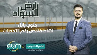 برنامج ارض السواد جنوب بابل نشاط فلاحي رغم التحديات 