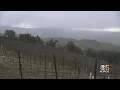 Napa Wine Country Braces For Freezing Overnight Temperatures