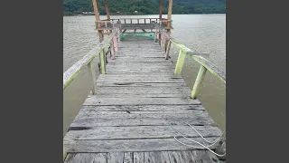 پوشش دایموند لایف دندنها
