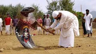 रुक जा साईं, नहीं तो पछताना पड़ेगा - Kalika v/s Sai @saibaba3350