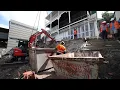 Rycon Constructions - Borva Street Dutton Park Brisbane