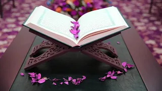 019 سورة مريم سعد الغامدي بدون إعلانات 