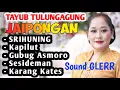 Download Lagu Full album Tayub Jaipong Sound Glerr // Cek Sound