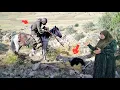 Download Lagu Nomadic Life Master Master's clash with Afshin's mother to hurt Zalfa ⚔️😭 Download Lagu Nomadic Life Master Master's clash with Afshin's mother to hurt Zalfa ⚔️😭