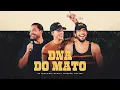 Download Lagu Zé Vaqueiro, Wesley Safadão, NATTAN - DNA do Mato (Ao Vivo)