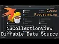 Cocoa Programming L70 - NSCollectionView Diffable Data Source
