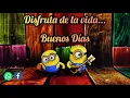 Divertido Mensaje de Buenos dias GIF de Buenos Dias MENSAJES DE BUENOS DIAS FRASES BONITAS