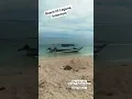 Download Lagu Beach of Laguna, Indonesia#travel #beach