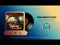 Download Lagu Wires Beneath Dust – Full Album | Atmospheric Grooves • Emotional Soundscapes •