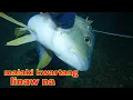 Download Lagu ep553 dive2 malaking isda napana ng kasama ko kwartang linaw na