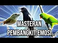 Lagu MASTERAN KACER PEMBANGKIT EMOSI
