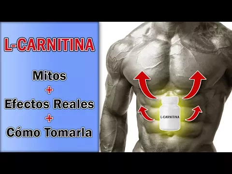 Download MP3 Suplementación Con L-Carnitina - Mitos, Efectos Reales Y Cómo Tomarla