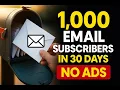 1 000 Email Subscribers in 30 Days No Ads Challenge