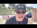 Animal Mints Strain Review Ft Flying Tiger Farms at Hello Cannabis in Vista California