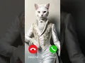 Download Lagu Jack is calling #ai #ringtone #cat #catlover #new #viralshorts #viralvideo #funny #funnycats