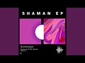 Download Lagu Shaman (S.Y.M Remix) MP3