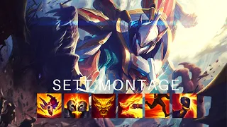 Sett Montage #2 League of Legends Best Sett Plays 2020