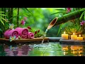 Relaxing Deep Sleep Music 🌿 Soothing Nature Sounds for Meditation, Spa Relaxation & Stress Relief