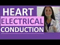 Download Lagu Electrical Conduction System of the Heart Cardiac | SA Node, AV Node, Bundle of His