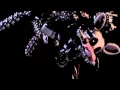 Mangle s Radio FNAF 2 and 3