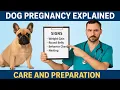 Dog Pregnancy Guide Signs Care Whelping Prep Vet Approved
