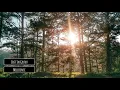 Melosense - Lost In Gruvv