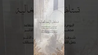 تهنئة تقاعد 