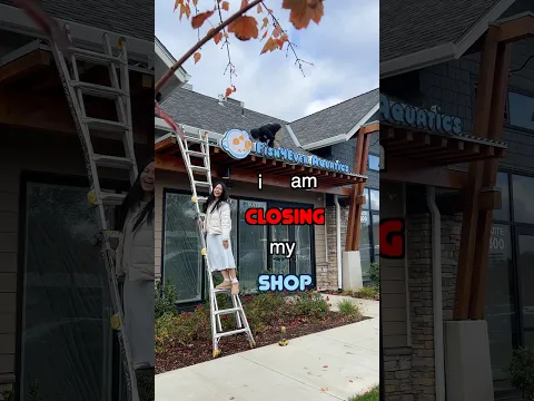 Why I Closed Down my Fish Shop 🏬