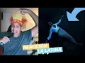 REACCION Rels B - La Latina