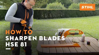 STIHL HSE 81 How to sharpen the blades of an electric hedge trimmer STIHL Tutorial