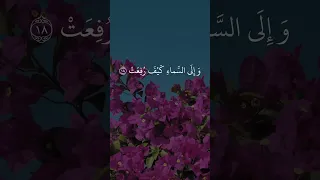 تلاوة أبكت الملايين من سورة الغاشية عبد الباسط قرآن اكسبلور Abdul Basit 